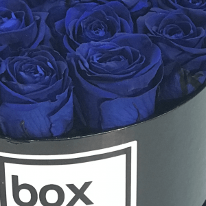rosas-eternas-azules