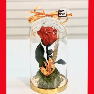 Rosa-de-Sant-Jordi-en-capsula-2020