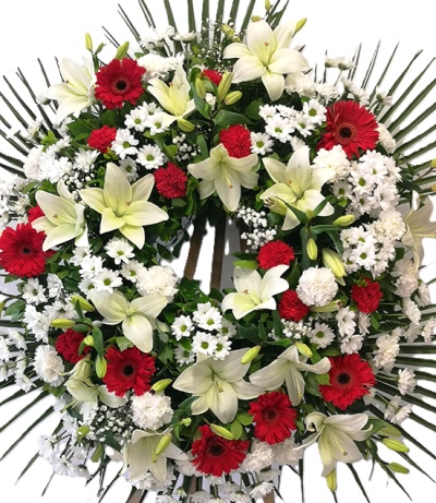 Corona Blanca y Roja